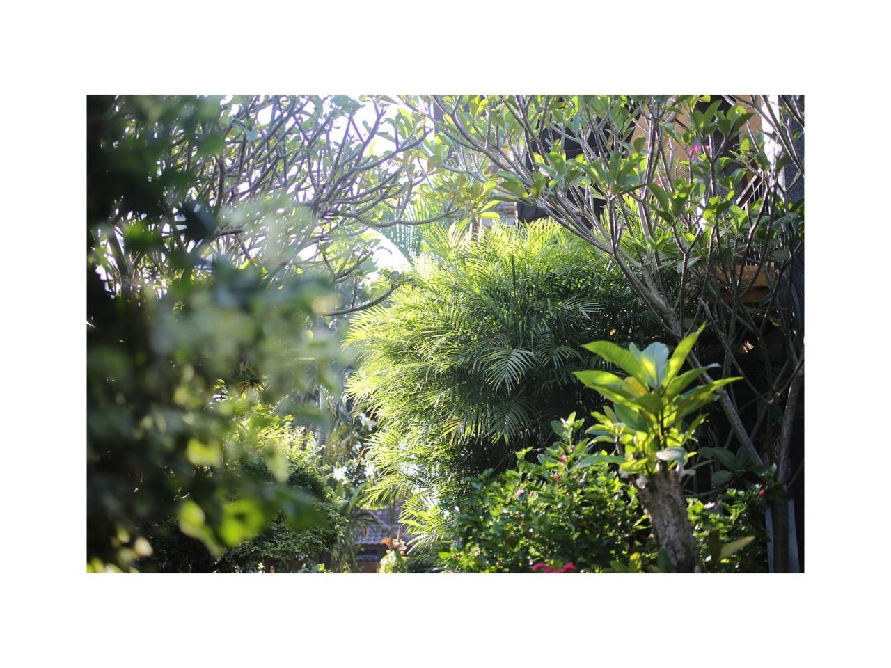 In Da Garden Ubud Exterior foto